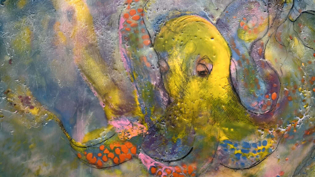 Octopus's Garden Image